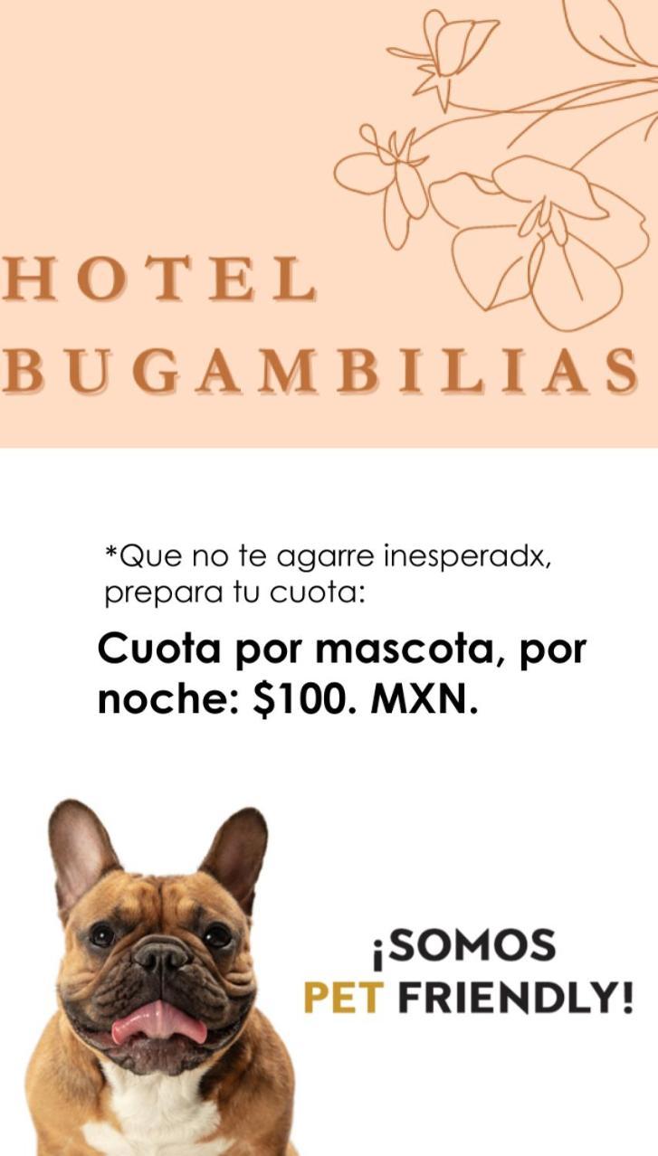 Hotel Bugambilias Oaxaca Luaran gambar